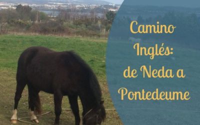 Camino Inglés: de Neda a Pontedeume