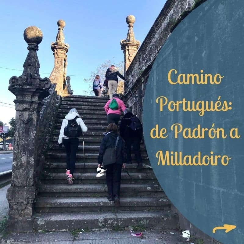 spanish-for-the-camino-your-way-to-a-better-camino