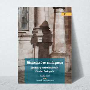 Cover of Historias tras cada paso