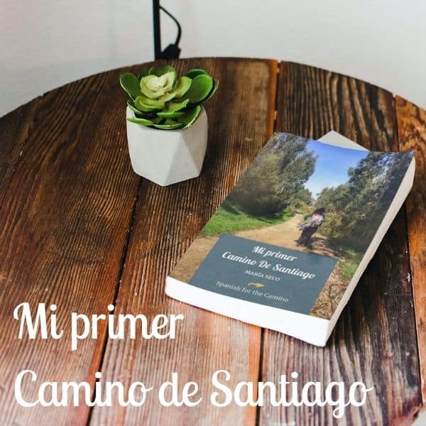 Mi primer Camino short novel for beginners